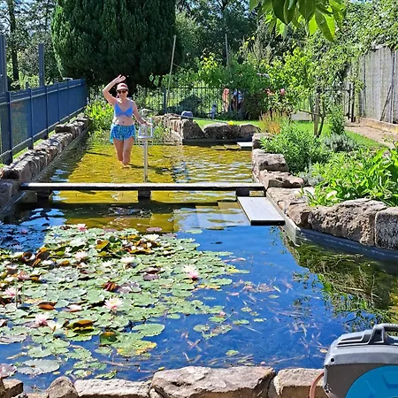 Kimmelsbacher Hof - Sauna & Naturpool & Seminarraum דירה
