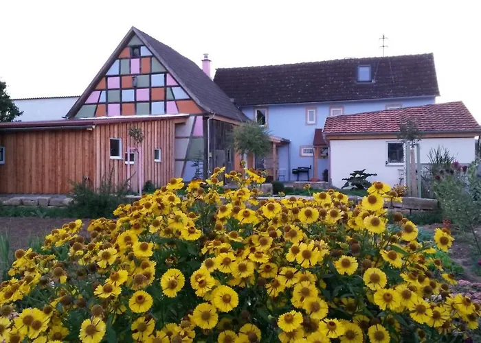 Appartement Kimmelsbacher Hof - Sauna & Naturpool & Seminarraum